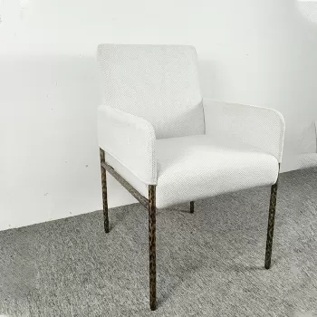 Furniture with Arm